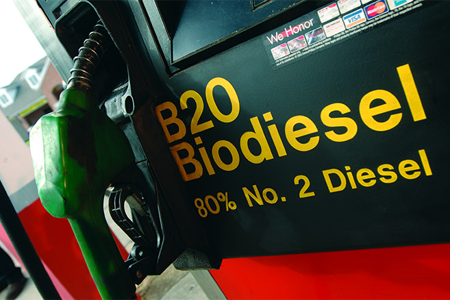 Biodiesel : le nouveau scandale de l’huile de palme