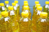 Biocarburants : feu vert des députés pour le diesel à l’huile de friture